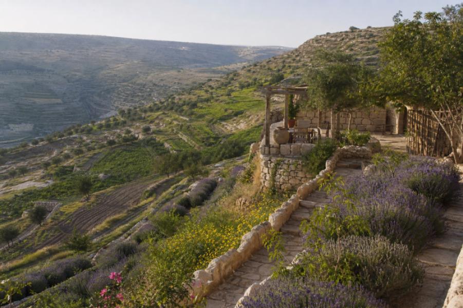 [تجريبي] مزرعة الوادي الأخضر — مادبا